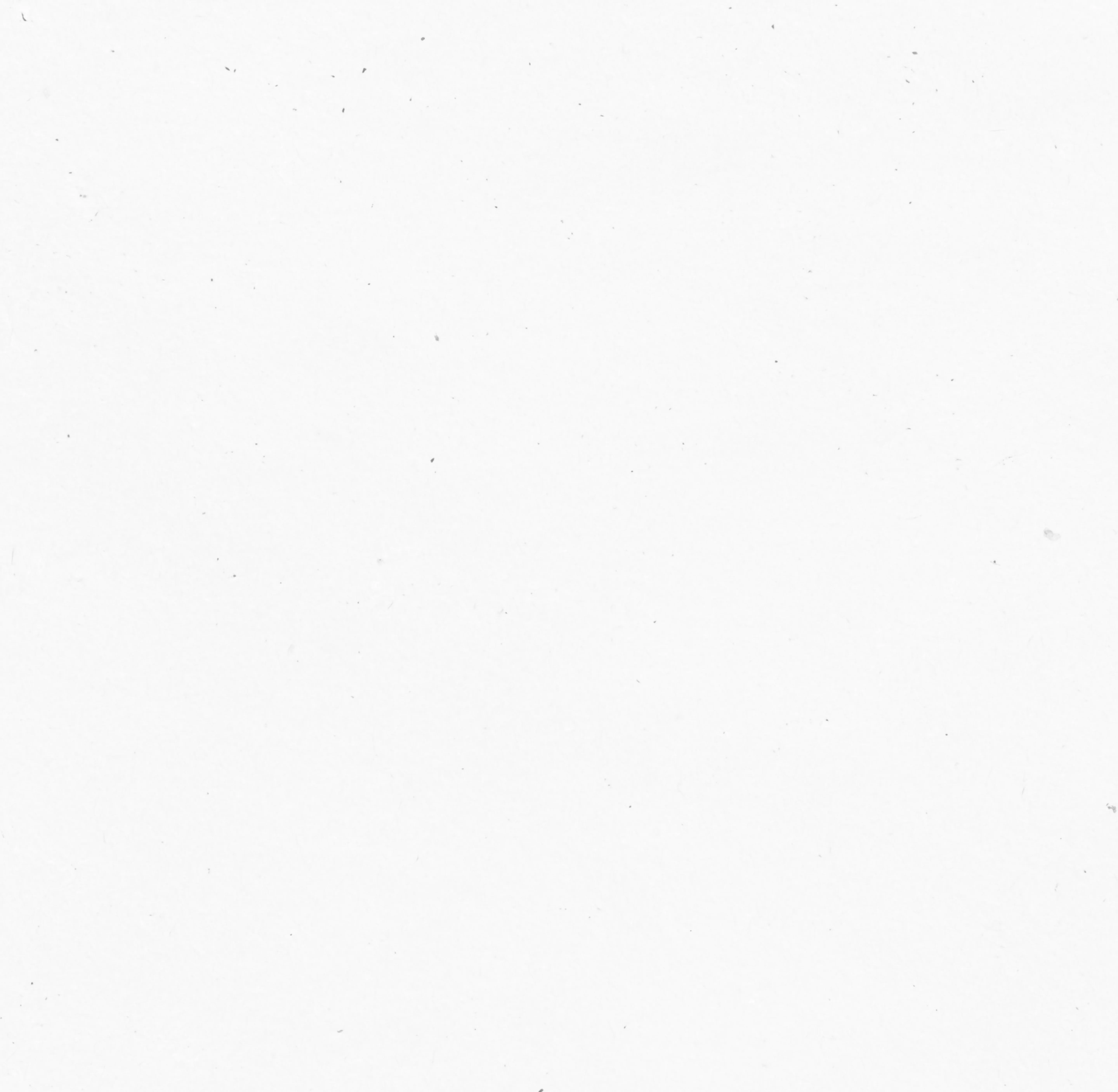 White textured wall background with subtle gray specks and imperfections.